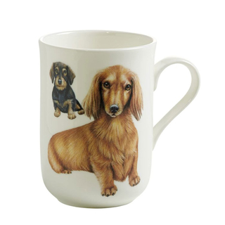 Kaffeebecher Henkelbecher Teebecher Porzellanbecher, Motiv: Hunde  Dackel, mit Geschenkbox  Volumen: 300 ml, Bone China Porzellan, wei