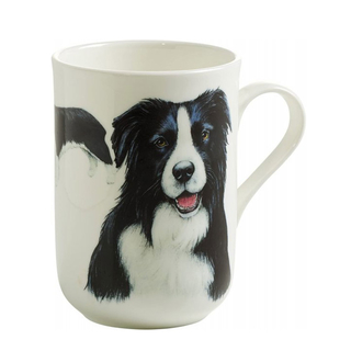 Kaffeebecher Henkelbecher Teebecher Porzellanbecher, Motiv: Hunde Border Collie , mit Gschenkbox Volumen: 300 ml, Bone China Porzellan, wei