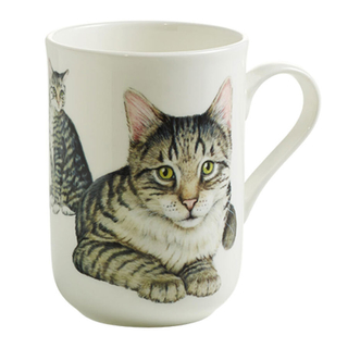 Kaffeebecher Henkelbecher Teebecher Porzellanbecher, Motiv: Katze Europisch Kurzhaar Hauskatze, mit Geschenkbox  ca  300 ml, Bone China Porzellan, wei