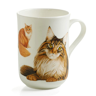 Kaffeebecher Henkelbecher Teebecher Porzellanbecher, Motiv: Katze Maine Coon, mit Geschenkbox  Volumen: 300 ml, Bone China Porzellan, wei